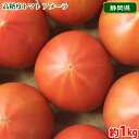 静岡県産 高糖度トマト アメーラ 12~16玉入 約1kg (箱) 国産 ブランド トマト
