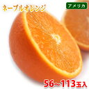 【送料無料】 カリフォルニア産 ピュアスペクト ネーブルオレンジ BLACK / RED 56〜113玉入り (箱) オレンジ