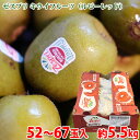 【送料無料】 ニュージーランド産 キウイフルーツ ゼスプリ ルビーレッド 小玉サイズ 52〜67玉入 約5.5kg (箱) レッドキウイ