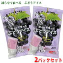 【送料無料】 おうちで 凍らせて食べる ぶどうアイス 280g(70g×4袋)×2パックセット