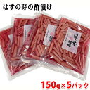 【送料無料】 穂高観光食品 はすの芽 梅酢味 150g×5パック セット
