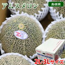 【送料無料】 島根県産 アムスメロン 秀品 2L〜3Lサイズ (箱) 国産 メロン