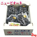 香川県産 ニューピオーネ 秀品 4~5房入り 2kg (箱) 国産 ぶどう フルーツ