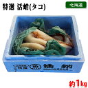 【送料無料】 北海道産 特選 活蛸 約1kg (箱) 国産 タコ
