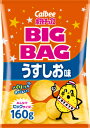 【期間限定クーポン配布中!】ビッグバッグ ポテトチップス うすしお味 12袋セット カルビー 大容量 ポテチ まとめ買い 詰め合わせ イベント パーティー 宴会...