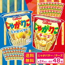 【期間限定ポイント5倍!】 じゃがりこ チーズ&じゃがバター アソート 各24個セット 48個 カルビー 大容量 まとめ買い スナック スナック菓子 詰め合わせ...