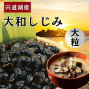 国産【出雲の國|宍道湖産 大和しじみ】島根県 1kg×2〜5|冷凍・砂抜き済み・再冷凍OK|肝臓に良いオルニチン豊富|味噌汁・しじみ汁・酒蒸し・パスタに|大粒・...