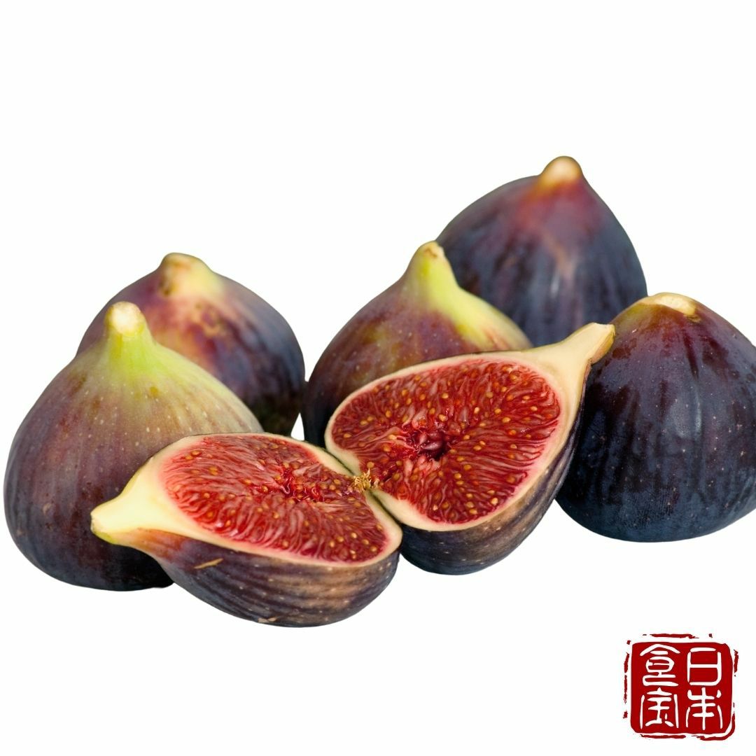 【10%OFF★P5倍確定】6/11 1:59まで【愛知県産いちじく】朝採れ完熟「いち美」12玉入|マリンプランツ肥料×低農薬|海の肥料で育ったミネラル豊富・高糖度果実|宮川産業×渥美半島(産地直送)