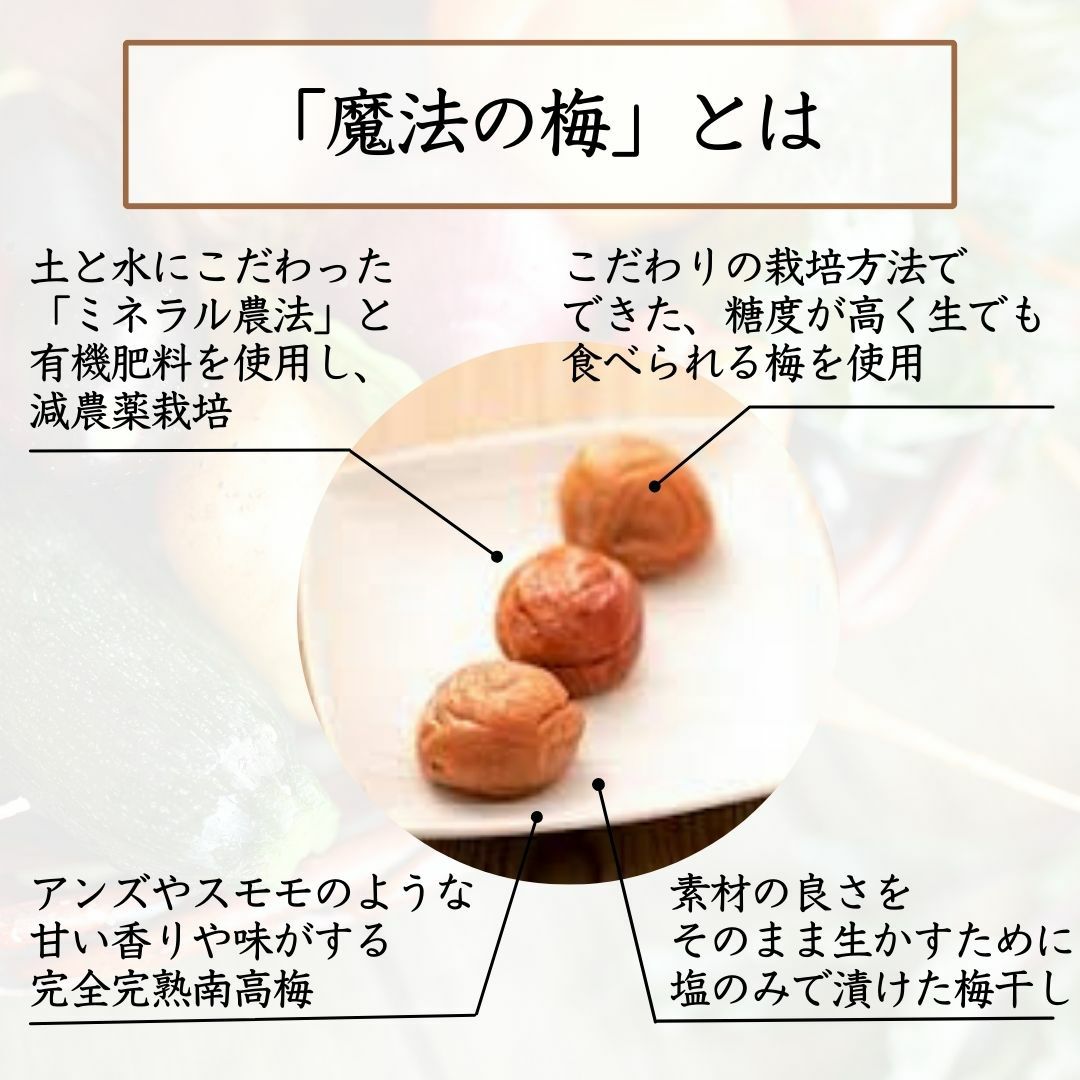 皆が知らない日本の食宝の毎日のご飯を、少し贅沢に。｜【和歌山県産】 白干し梅 魔法の梅 贈答用・木箱入／みんなが知らない日本の食宝｜アングル3