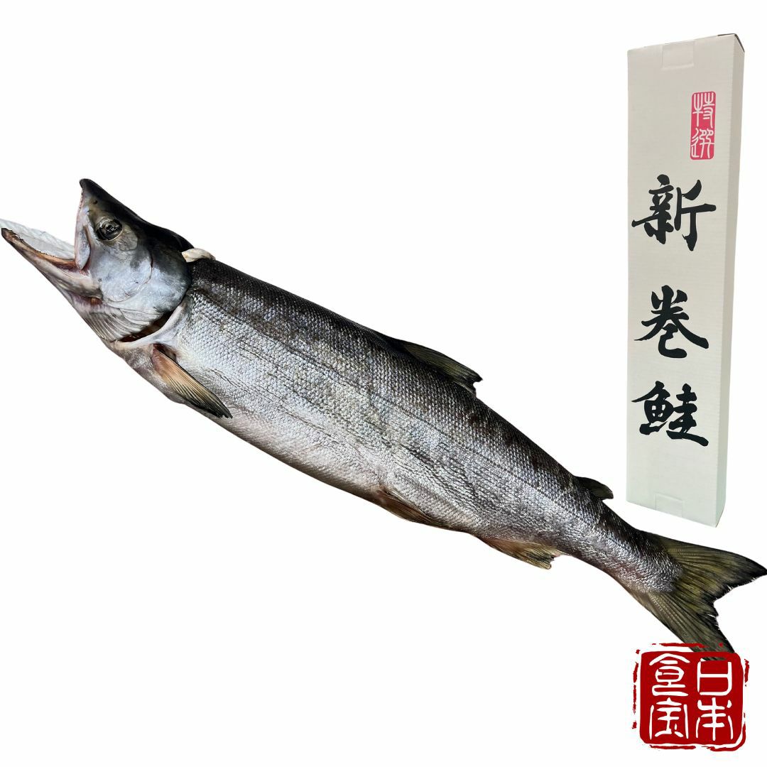 【北海道産】新巻鮭 一本物（2.5kg前後） 化粧箱入 （産地直送）／みんなが知らない日本の食宝