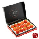 【新潟県産】ギフトいちご大粒 越後姫W 700g(18〜36粒) (産地直送)