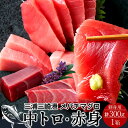 まぐろ 天然 メバチマグロ 詰合せ 300g［中トロ2、赤身1］鮪セット 刺身用 三浦三崎 マグロ 詰め合わせ 神奈川県産 通販 ご当地 お取り寄せ 産直 グルメ お正月 プレゼント［お歳暮 ギフト 年末年内配送 おせちにもう一品］