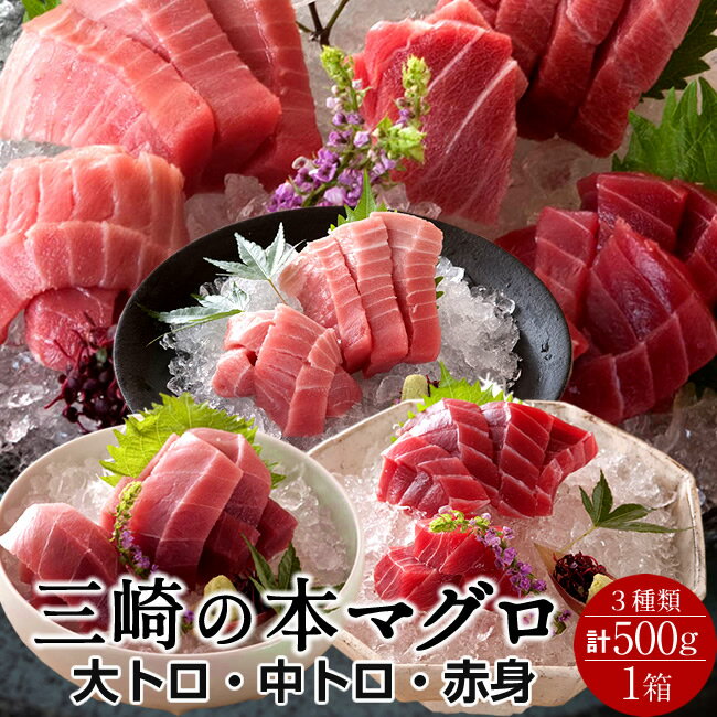 まぐろ 天然 本まぐろ 三大部位 詰合せ 500g［大トロ100g、中トロ200g、赤身200g］刺身用 三浦三崎 マグロ 詰め合わせ 神奈川県産 通販 ご当地 お取り寄せ 産直 グルメ［ 父の日 ギフト プレゼント］