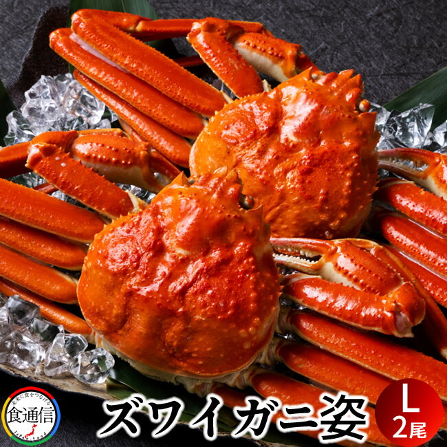 襤˻(21kgܥ뤫ˤ襤磻˻