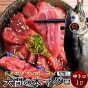 大間のマグロ 訳あり 中トロ [200g] まぐろ 本鮪 黒マグロ 大間産 切り落とし 本まぐろ大間 青森県大間産 大間のまぐろ 刺身 規格外 切り落し 切落し 超低温 テレビ 解体 鮪漁師 おすすめ 産地直送［新春 ギフト］