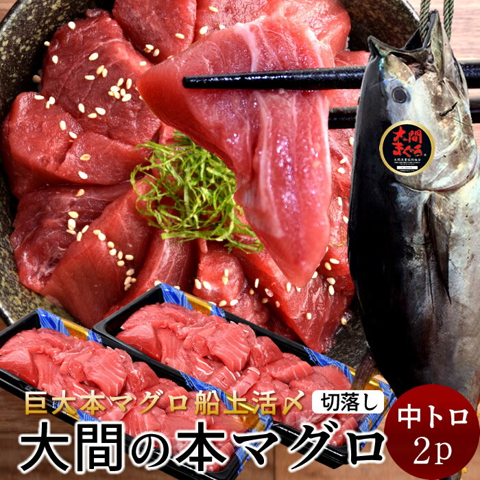 大間のマグロ訳あり中トロ[200g...