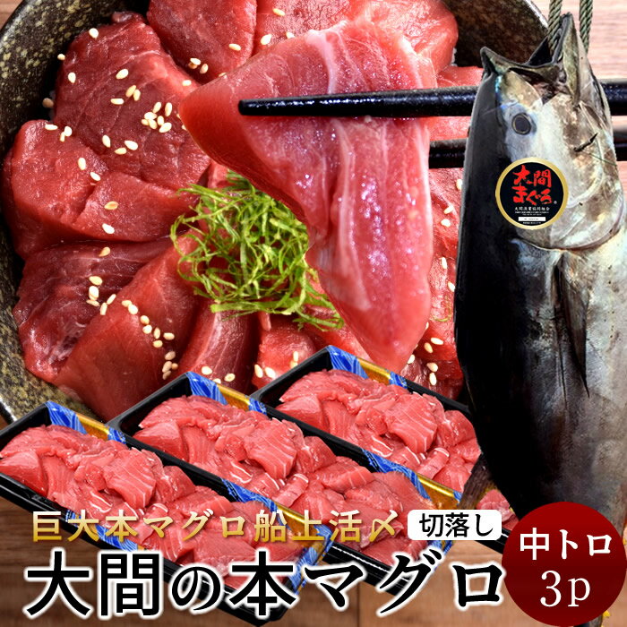 大間のマグロ 訳あり 中トロ [200g×3P] まぐろ 本