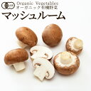 有機野菜 ブラウンマッシュルーム 100g きのこ 日本農林規格JAS オーガニック ベジタブル スムージー 料理材料 旬の具材 お取り寄せ 農産センター直送[...