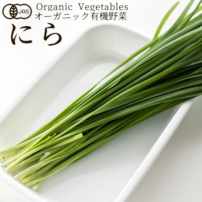 有機野菜 にら 100g 日本農林規格JAS オーガニック ベジタブル スムージー 料理材料 旬の具材 お取り寄せ 農産センター直送[お歳暮 クリスマス ふるさ...