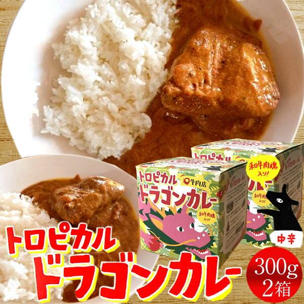 楽天食コレ Japan-foodカレー トロピカルドラゴンカレー300g（肉塊150g）×2箱 中辛 鳥取和牛 牛肉の塊入り 肉比率50％ レトルト ビーフ インスタント スパイス [送料無料] テレビで紹介