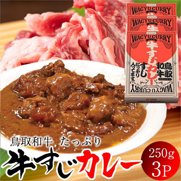 カレー 牛すじカレー250g×3箱 鳥取和牛 じっくり煮込んだ コク旨 レトルト ビーフ インスタントお取り寄せ【送料無料】「あかまる牛肉店 鳥飼畜産 テレビで紹介」