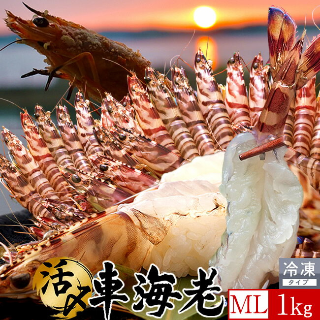 ̵ֳϷ褭ŷ֤1kgܸͤ줿褭ܿľ