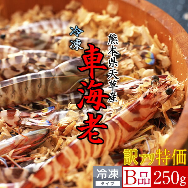 えび 車海老 冷凍 不揃い【訳あり】250g お買い得 加熱用 熊本県天草産の車海老 養殖場 急速冷凍 クルマエビ エビフライ 産地直送 高級ギフト [ギフト 送料無料] 母の日 父の日 グルメ