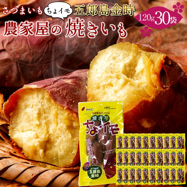 やきいも さつまいも 五郎島金時 焼き芋セット［ちょイモ120g×30袋入］箱売り 石川県産 金沢市 高級加..