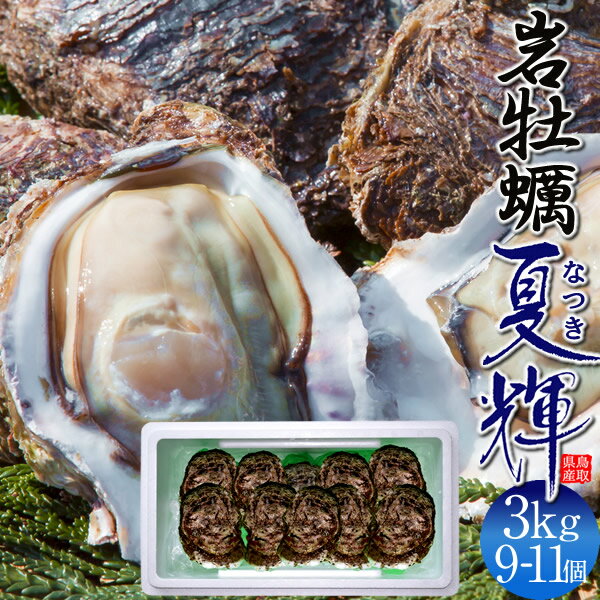 岩牡蠣 牡蠣 天然岩ガキ 生牡蠣 特大 夏輝(なつき)約3kg［9-11個］生食 カキ 家庭用 帯なし 鳥取県産 岩がき いわがき 夏牡蛎 ブランド 日本海 カキフライ 漁港直送 産直 送料無料［お中元 夏の御中元ギフト］