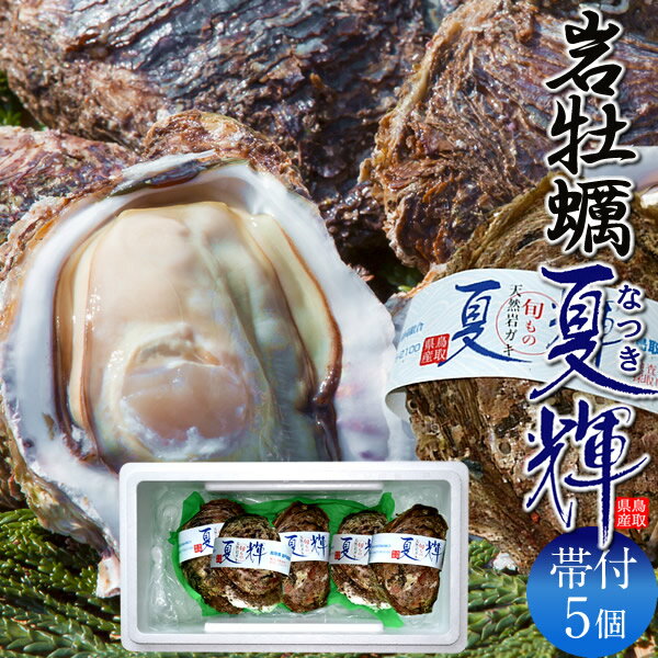 岩牡蠣 牡蠣 天然岩ガキ 生牡蠣 特大 夏輝(なつき)［5...