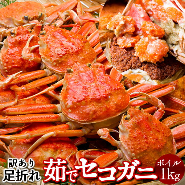 ͤǥ B1kg(6-8) һΤ˵2025­ޤ ܥ륻 Ļ踩 Ƴ ᥹   Ȣ ...