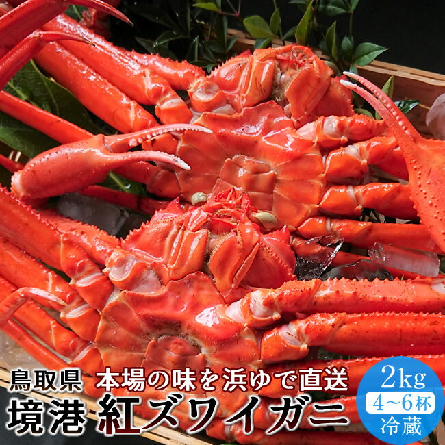 紅ズワイガニ かに 境港 紅ズワイガニ 冷蔵 2kg［4-5杯］浜ゆで ゆでがに チルド ベニズワイガニ 日本海 鳥取県産 産地直送 通販 おすすめ［ 母の日 ギフト プレゼント］