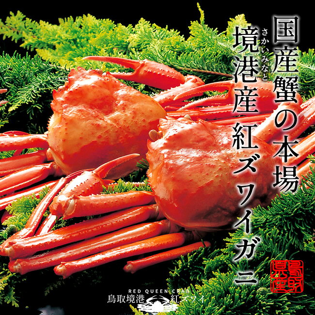 サンプル画像3