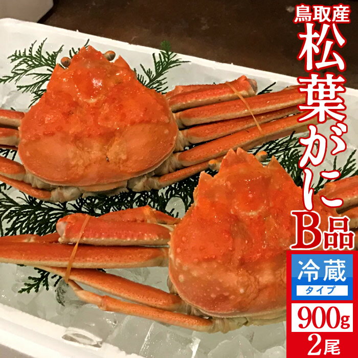 ͤǾե B900g2Τ˵2025­ޤ ܥ뾾ճ 觤ǳ ʪ Ļ踩 ֥ɥޥĥХ ܳ磻ˡΤ ...