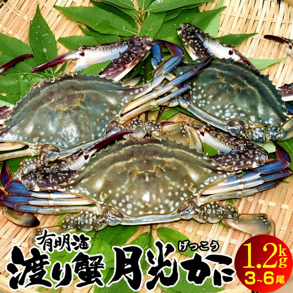 わたりがに ワタリガニ 有明海「月光かに」1.2kg[3-6尾入]生 渡り蟹 熊本県上天草市串港 ガザミ ガネ カニ漁師 活〆冷凍 送料無料［お歳暮 ギフト］