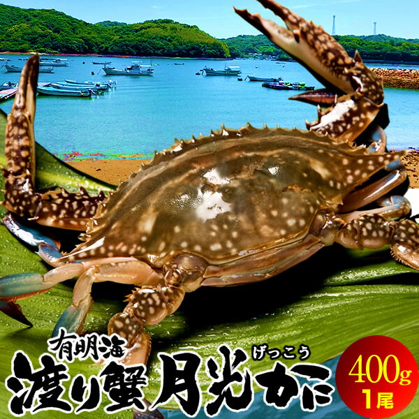 ワタリガニ直売 活〆 有明海 生冷凍 旬 約400g前後[小]生冷凍 旬 熊本県上天草市串港 ガザミ ガネ カニ漁師 活〆冷凍 送料無料 お正月 プレゼント［お歳暮 ギフト 年末年内配送 おせちにもう一品］