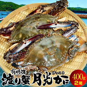 わたりがに ワタリガニ 有明海「月光かに」約400g前後[小]×2尾 生 渡り蟹 熊本県上天草市串港 ガザミ ガネ カニ漁師 活〆冷凍 送料無料［お歳暮 ギフト］