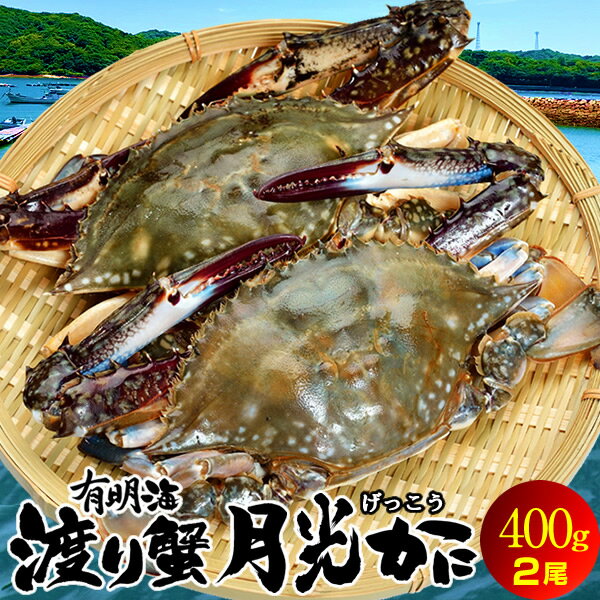 わたりがに ワタリガニ 有明海「月光かに」約400g前後[小]×2尾 生 渡り蟹 熊本県上天草市串港 ガザミ ガネ カニ漁師 活〆冷凍 送料無料［敬老の日 ギフト］