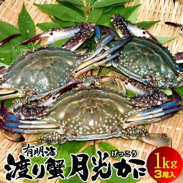 わたりがに ワタリガニ 有明海「月光かに」1kg[3尾入]生 渡り蟹 熊本県上天草市串港 ガザミ ガネ カニ漁師 活〆冷凍 送料無料［敬老の日 ギフト］