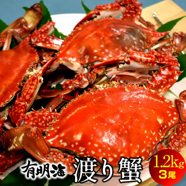 ワタリガニ直売 活〆 有明海 1.2kg 生冷凍 ワタリ蟹 旬 熊本県上天草市串港 ガザミ ガネ カニ漁師 活〆冷凍 送料無料［ 父の日 ギフト プレゼント］