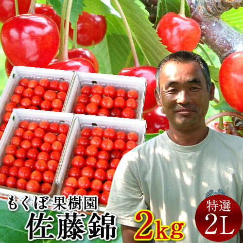 さくらんぼ 佐藤錦 2kg＼お中元予約 7月中下旬お届け／最高級 秀品【特選2L/L】1kg×2箱セ