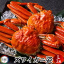ずわいがに姿 1kg (2尾入)ボイル かに ずわい蟹 ズワイガニ 姿 北の大地 景品 カニ鍋 焼きガニ 産地直送 お取り寄せ おすすめ[お中元 夏の御中元ギフ...