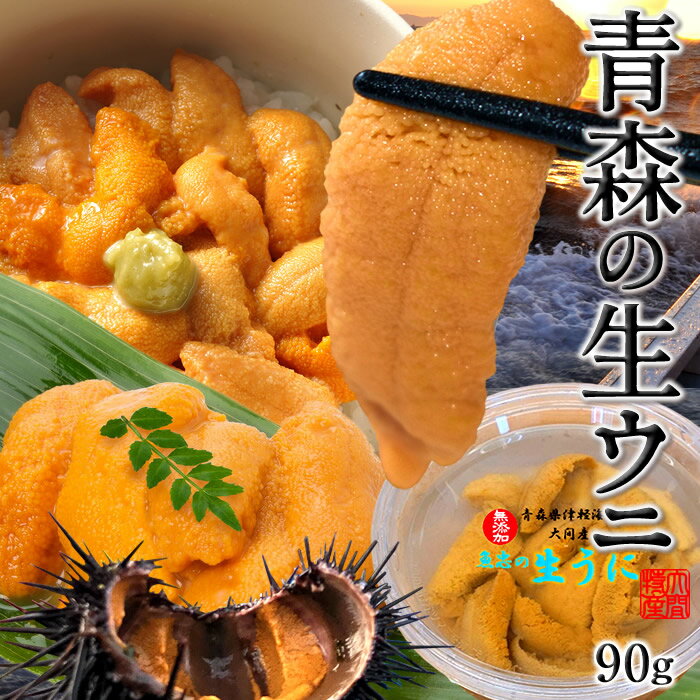 うに 塩水漬 パック 生うに 90g［新物予約］漁師の生ウニ 塩水漬け 青森県 津軽海峡 大間 旬キタムラサキウニ 予約販売［ギフト旬 雲丹］