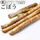有機野菜 ごぼう ハーフカット 牛蒡 日本農林規格JAS オーガニック ベジタブル スムージー 料理材料 旬の具材 お取り寄せ 農産センター直送[秋の味覚 ふる...