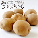 有機野菜 じゃがいも 400g 馬鈴薯 日本農林規格JAS オーガニック ベジタブル スムージー 料理材料 旬の具材 お取り寄せ 農産センター直送[秋の味覚 ふ...