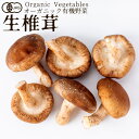 有機野菜 生椎茸 80g しいたけ 日本農林規格JAS オーガニック ベジタブル スムージー 料理材料 旬の具材 お取り寄せ 農産センター直送[秋の味覚 ふるさ...