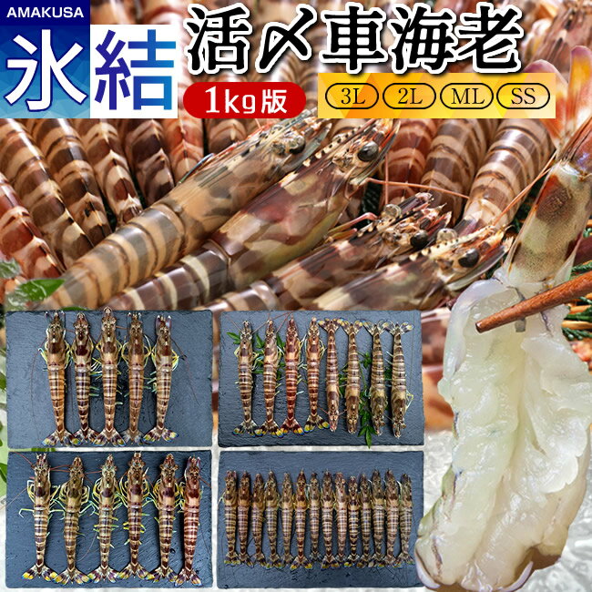 車海老 活き〆車エビ ミックス 1kg【3L、2L、ML、SS】4種類×各250g 天草 島育ち 冷凍車えび 食べ比べ 熊本県産 クルマエビ 養殖場 刺身［ホワイトデー お返しギフト］