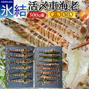 車海老 活き〆車エビ ミックス 500g【2L、ML】2種類×各250g 天草 島育ち 冷凍車えび 食べ比べ 熊本県産 クルマエビ 養殖場 刺身[母の日 お祝い...