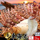 商品画像2