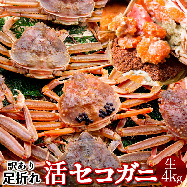  B4kg(24-32) һ2025 ˲ء­ޤ  質 Ļ踩 Ƴ ᥹   Ȣ ...